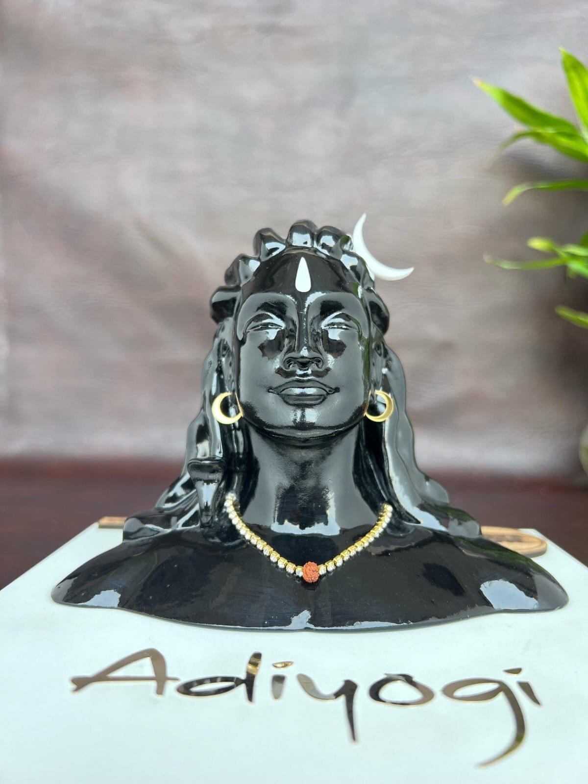 WhatsApp-Image-2024-02-02-at-6.30.06-PM